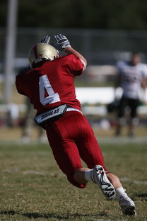 星空app官网下载-五大联赛争冠球队出场阵容中缺席后的战术重构,五大联赛全胜夺冠的球队 第3张